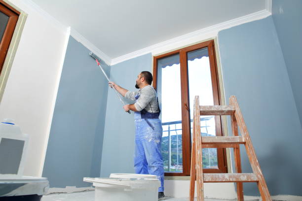 Best Wallpaper Removal and Painting  in Waverly, IA